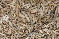 biomass boilers Rame