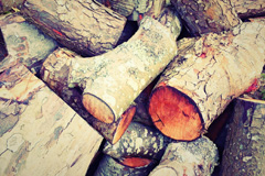 Rame wood burning boiler costs
